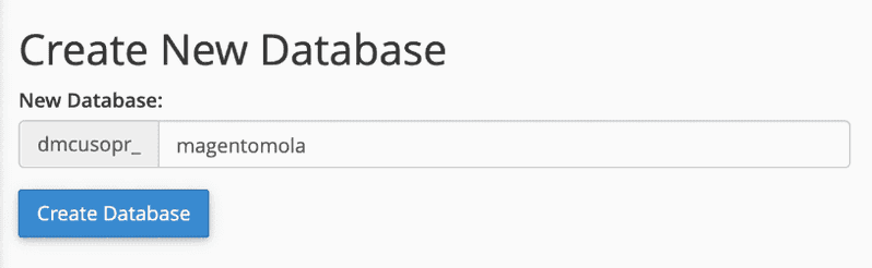 nueva base de datos Magento