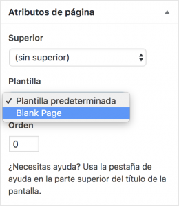 Crear landing en WordPress con Divi