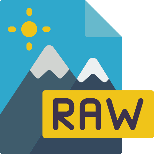 Formato de archivo RAW