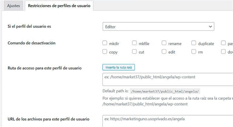 Restricciones de rol de usuario y tipos de archivos en Filester
