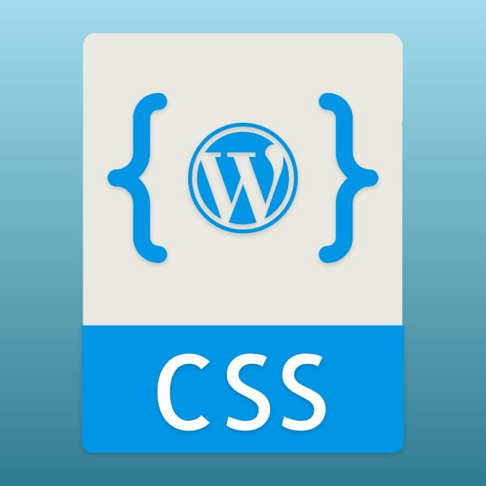 Cómo añadir y modificar CSS en WordPress