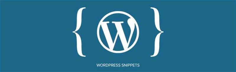 snippets wordpress