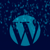 WP-Admin, wp-login.php o cómo acceder a WordPress